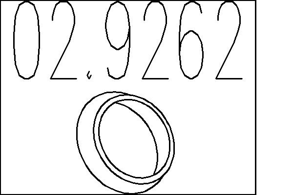 Уплотнительное кольцо, труба выхлопного газа   02.9262   MTS