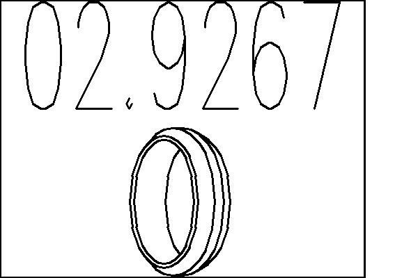Уплотнительное кольцо, труба выхлопного газа   02.9267   MTS