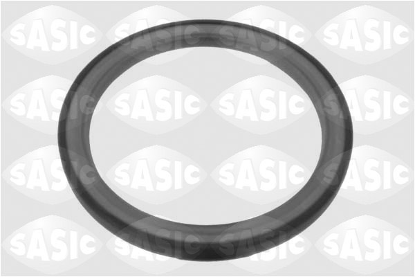 Уплотняющее кольцо, коленчатый вал   1954001   SASIC