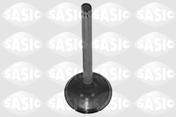 Выпускной клапан, SASIC, 4000959