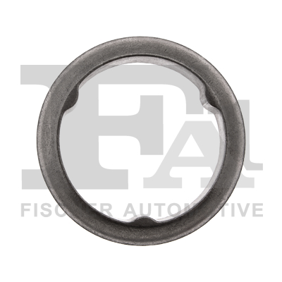 Уплотнительное кольцо, труба выхлопного газа, FA1, 112-946