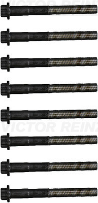 Комплект гвинтів голівки циліндра   14-55099-01   VICTOR REINZ