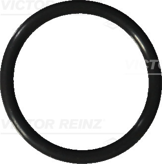 Уплотнительное кольцо, резьбовая пробка маслосливн. отверст.   40-76041-20   VICTOR REINZ