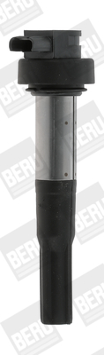 Катушка зажигания   ZS386   BorgWarner (BERU)