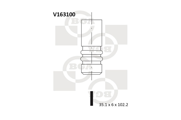Впускний клапан   V163100   BGA
