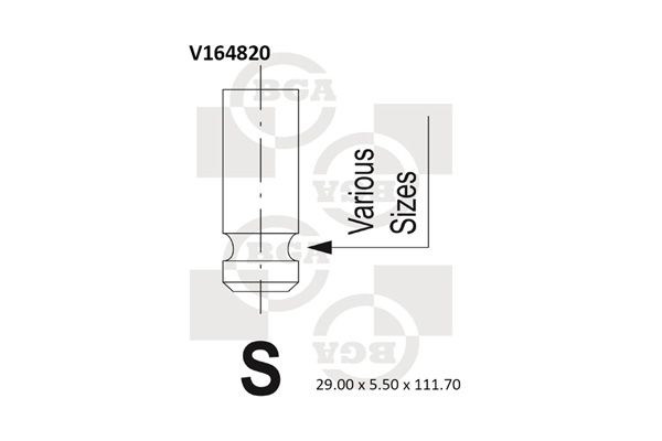 Впускний клапан   V164820   BGA