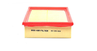 Воздушный фильтр   BSG 30-135-004   BSG