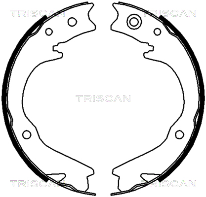 Комплект тормозных колодок, стояночная тормозная система   8100 68003   TRISCAN
